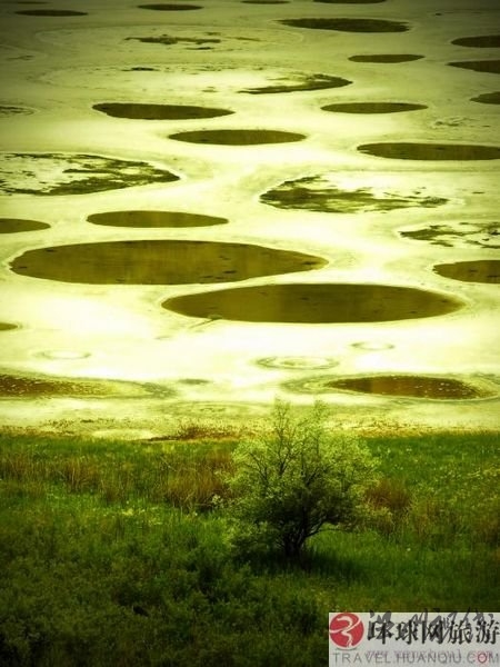 絕美奇觀：加拿大神秘斑點湖(組圖)