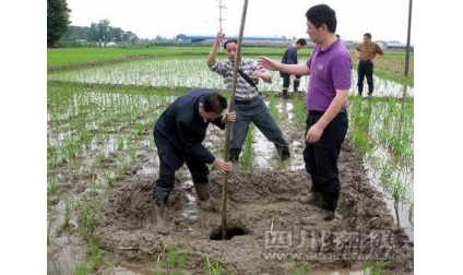 成都4天內現多處天坑 專家稱與地震無關