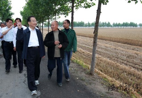 溫家寶在河南考察 駕駛拖拉機在麥地耕種