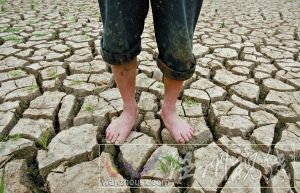 5月21日，一名農民站在開裂的魚塘地面上。連日的干旱使得武漢江夏區山坡鄉養魚人的池塘干涸。張朋