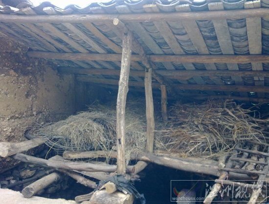 云南高院副院長：“賽家鑫”案十年后將成標桿