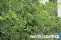寧夏降雨緩解高溫 地質(zhì)災(zāi)害需防范