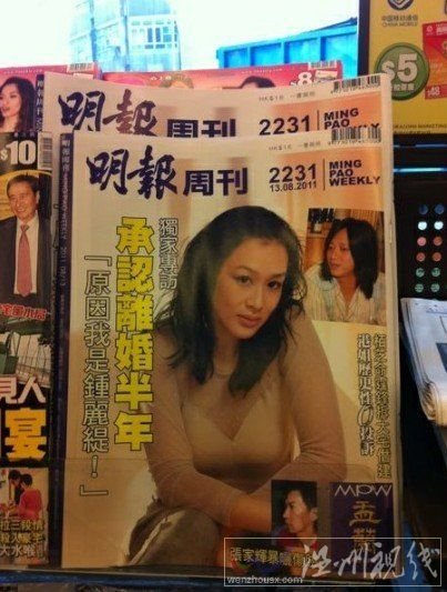 鐘麗緹稱離婚不涉及第三者 女尊男卑致感情破裂