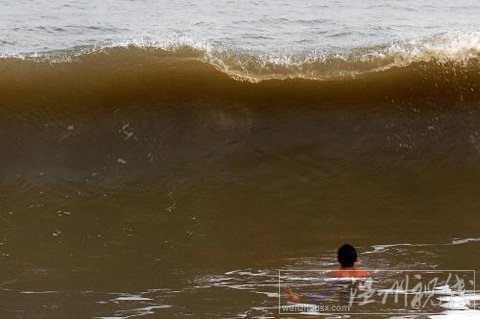 “梅花”將至 山東發(fā)布臺風(fēng)黃色預(yù)警