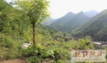 揭開“中華養(yǎng)生保健