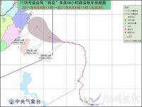 臺風“梅花”逐漸向東海東南部靠近
