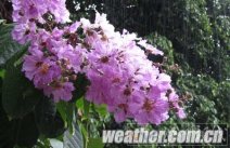 廣西雨水緩高溫 今明兩天仍有強降雨