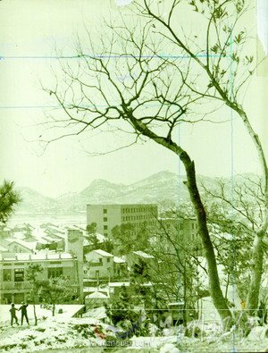 曾入選亞太地區民歌集——憶溫州民歌《叮叮當》