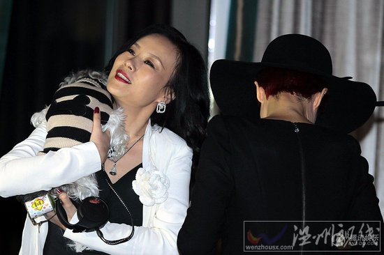 蔣雯麗挑戰“騷包”剩女 穿喪服大鬧婚禮 (2)