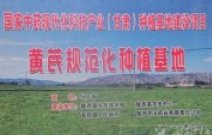 甘肅隴西首陽鎮:“西