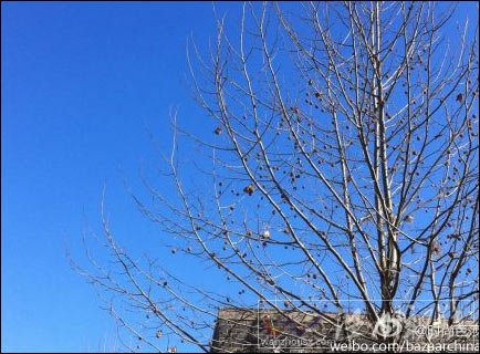 北京天空湛藍22日空氣質量達優 未來幾天晴天為主