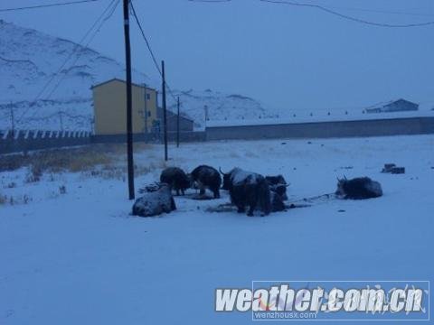 青海達(dá)日降雪或影響交通 有利降低火險