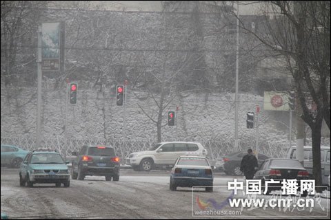 遼寧多地降雪 道路封閉飛機(jī)延誤