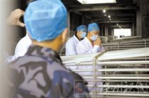 歸真堂微博遭網友痛罵 看看菜市場的豬肉也許會冷靜