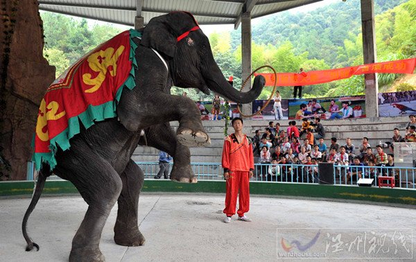 金華動物園