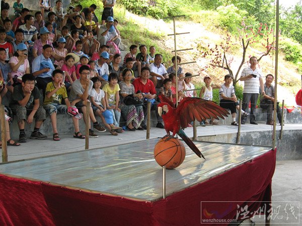 金華動物園