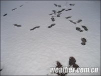 今天迎中國氣象局世界氣象開放日 北京有雨雪