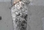 立交橋露泡沫 青島立交橋裂縫處露出泡沫填充物是建