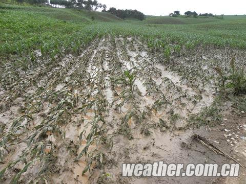長春20日出現局地暴雨和冰雹等強對流天氣