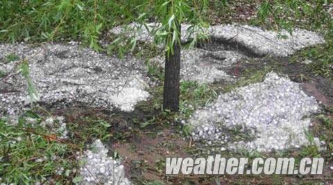 黑龍江樺南出現暴雨冰雹大風天氣 農田受災