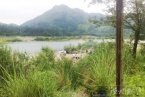 楠溪江燒烤景點圖片