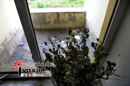高考失利跳樓
