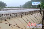 湖南多地持續(xù)強(qiáng)降雨 多地發(fā)生洪澇災(zāi)害