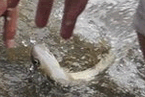 杭州暴雨致積水嚴重
