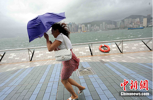 臺風韋森特最新消息