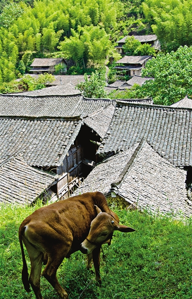 溫州古村落