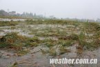 江西新余市強降雨 新余市區(qū)積水嚴重 江西新余市強