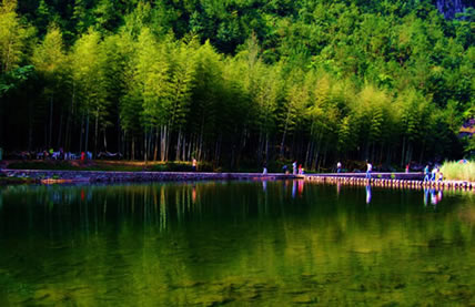 永嘉旅游景點(diǎn)陶姑洞