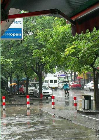 近日上海高溫天持續(xù) 午后多強(qiáng)降雨