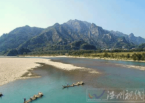 楠溪江的灘林