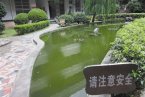 新橋一小溺水事件 新橋一小溺水女孩才3歲是孩子母