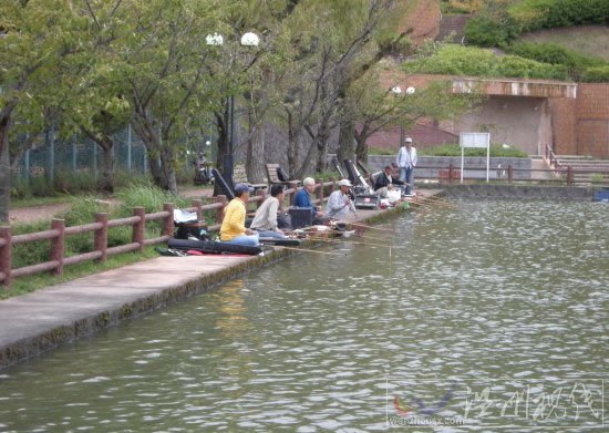 寒露釣魚有技巧