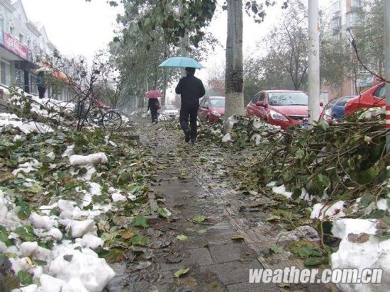 北京延慶暴雪圖片
