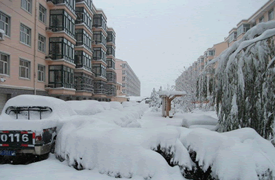 張家口蔚縣暴雪 11月4日
