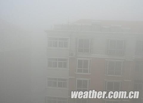 河北濃霧彌漫不利出行 氣象臺發布大霧橙色預警