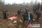 云南鎮(zhèn)雄縣山體滑坡 1月11日云南省鎮(zhèn)雄縣發(fā)生山體滑
