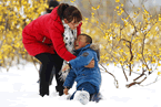安徽暴雪圖片 今天安徽