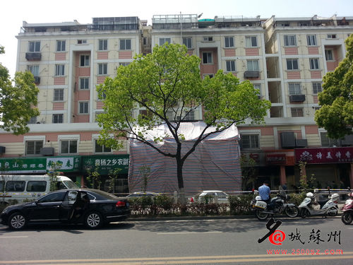 蘇州濱河花園火災事故現場