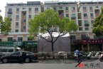 蘇州火災 4月27日蘇州濱河花園火災事故造成8人死亡
