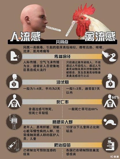 h7n9診療方案