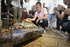 浙江漁民捕獲大龍蝦重
