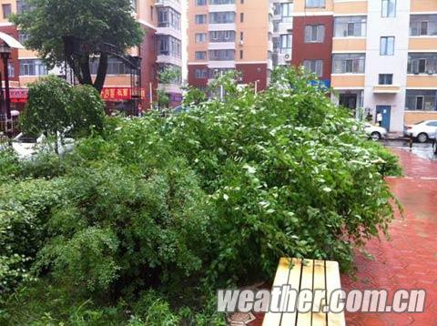入夏最強降水襲黑龍江 哈爾濱連下8天雨部分學(xué)校停課
