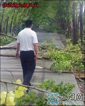 河南遇暴雨冰雹38萬(wàn)人受災(zāi)1人死亡 冰雹個(gè)頭最大如雞蛋