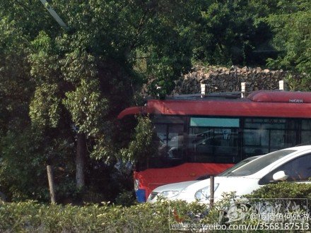 301公交車(chē)塞巴瓦撞樹(shù)上