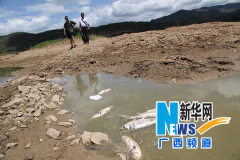 廣西今年汛期降水偏少 35個地區出現干旱