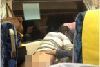 臺灣情侶列車上夸張親熱 這已經不是親熱是公然繁殖